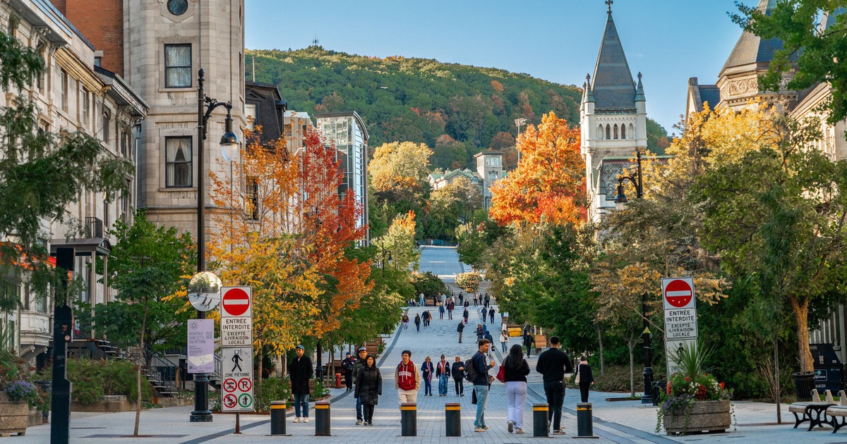 Canada mở rộng cơ hội để du học sinh ở lại làm việc