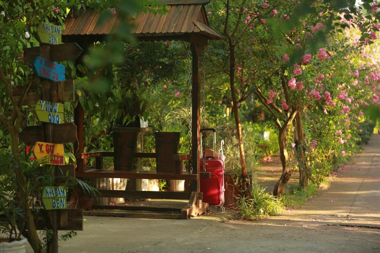 Visitors should spend time visiting the garden on weekdays, because it will be very crowded on weekends. Ticket price is 50,000 VND/adult, 25,000 VND/child, students with ID card get 50% discount. Photo: Vietnam Ornamental Plant Park