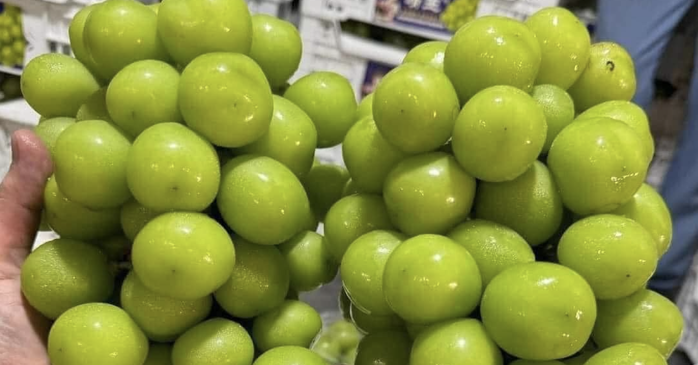 Milk grapes were found to contain toxic substances in Thailand, but goods still poured into Vietnamese markets at super cheap prices.