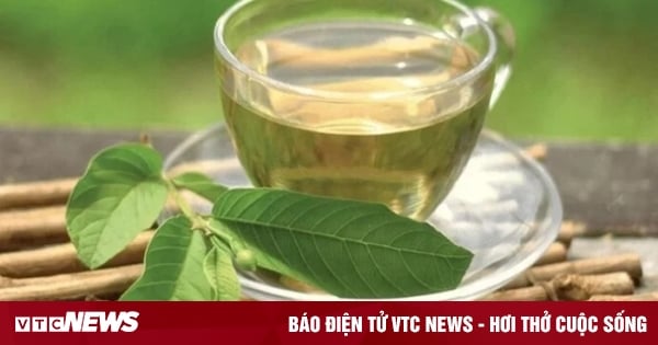 Can drinking guava leaf water cure diabetes?