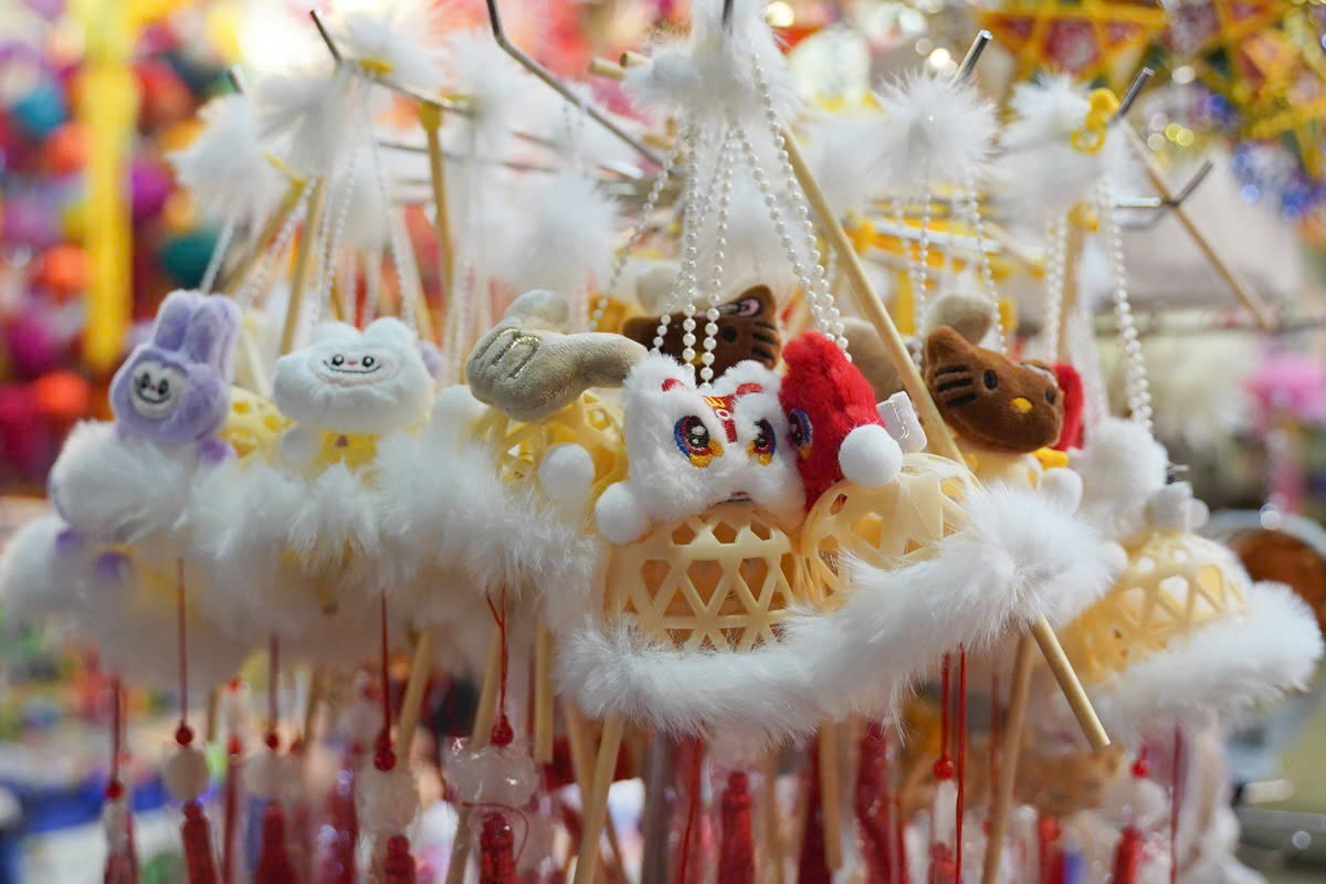 Many young families take to the streets to find the 'old Mid-Autumn Festival' photo 14