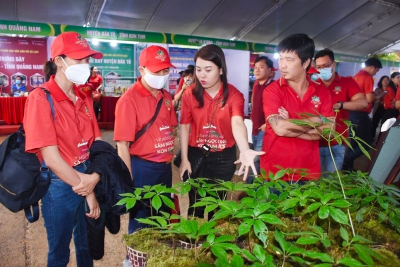 Cùng chung tay để sớm thành lập Hiệp hội sản xuất sâm Việt Nam