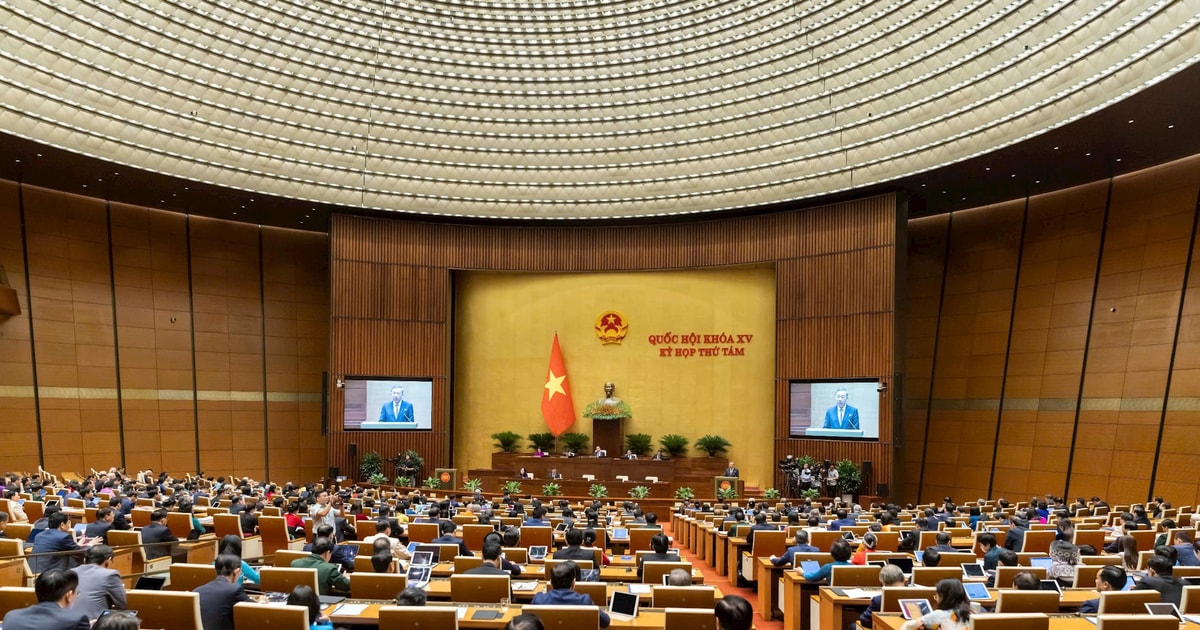 The National Assembly listened to the Government report on the state budget situation in 2024.