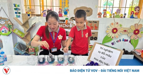 Cô giáo cắm bản được vinh danh giáo viên tiêu biểu toàn quốc