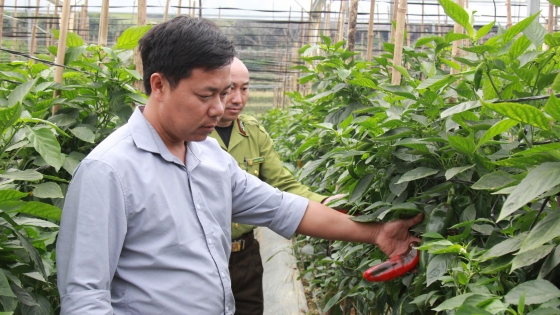 Building clean vegetable and fruit barns in the highlands