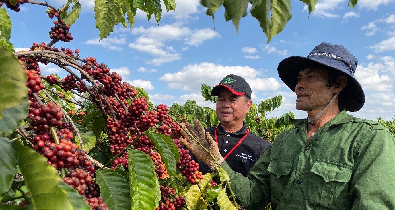 Nestlé Vietnam: un nuevo hito en el camino hacia el desarrollo sostenible