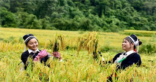 Hàm Yên (Tuyên Quang) phát huy nguồn lực, thúc đẩy sự phát triển tại địa phương