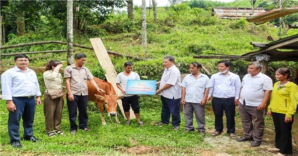 Tra Bong (Quang Ngai): Providing livelihoods and showing people how to escape poverty