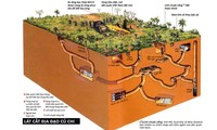 Cu Chi Tunnels in foreign newspapers