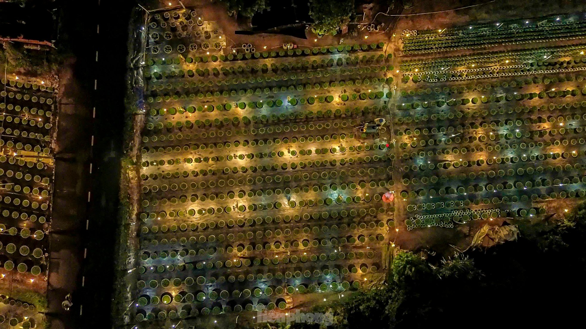 Wunderschöne glitzernde Szene im größten Blumendorf in Da Nang während der Tet-Saison, Foto 14