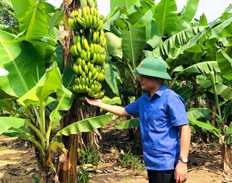 A Lưới thoát nghèo và mục tiêu “không để ai bị bỏ lại phía sau” - Ảnh 1.