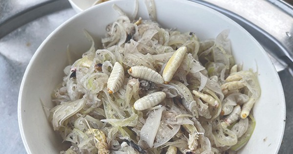 Wasp pupae, young bees, and the great mountain bee of Binh Dinh stir-fried with banana leaves become a specialty of the rich.