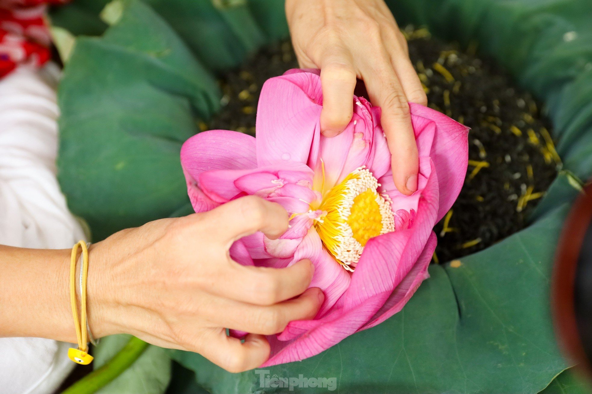 Unique art of lotus tea brewing - Cultural beauty of Hanoi people photo 8