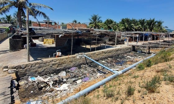 La basura inunda los estuarios y puertos pesqueros de Binh Dinh (foto 8)