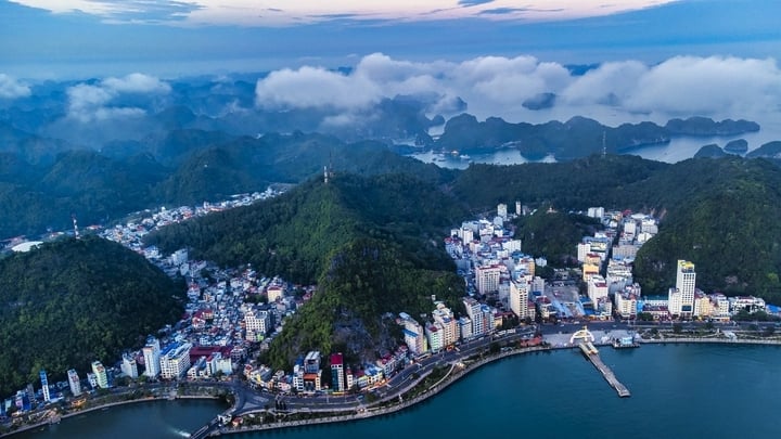 Cat Ba Central Bay is located in a tourism development area. (Photo: TL)