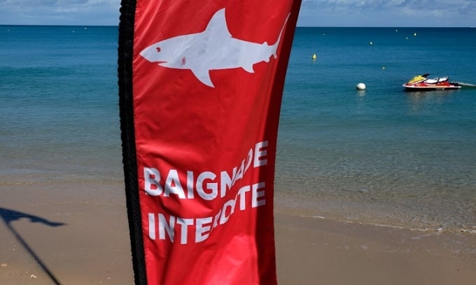 No swimming signs are placed on some beaches in New Caledonia. Photo: AFP