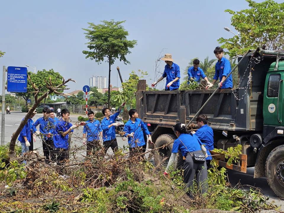 Sinh viên Trường Đại học Sư phạm 2 tham gia dọn dẹp cành cây gãy, đổ sau bão - Ảnh: Hội SVHN