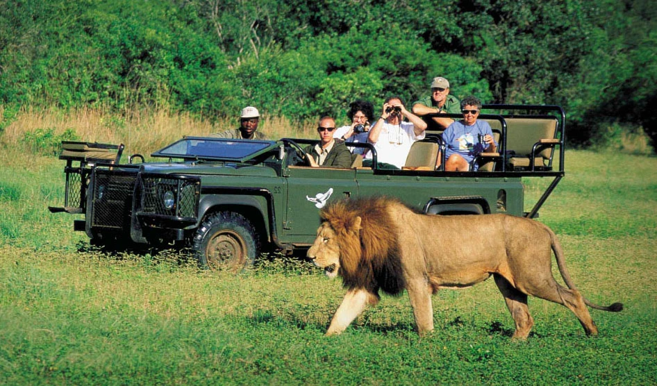 Afrikanischer Tourismus floriert