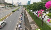 Close-up of the most beautiful avenue in Ho Chi Minh City being expanded