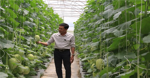 La agricultura de alta tecnología ayuda a las minorías étnicas a cambiar sus hábitos de producción