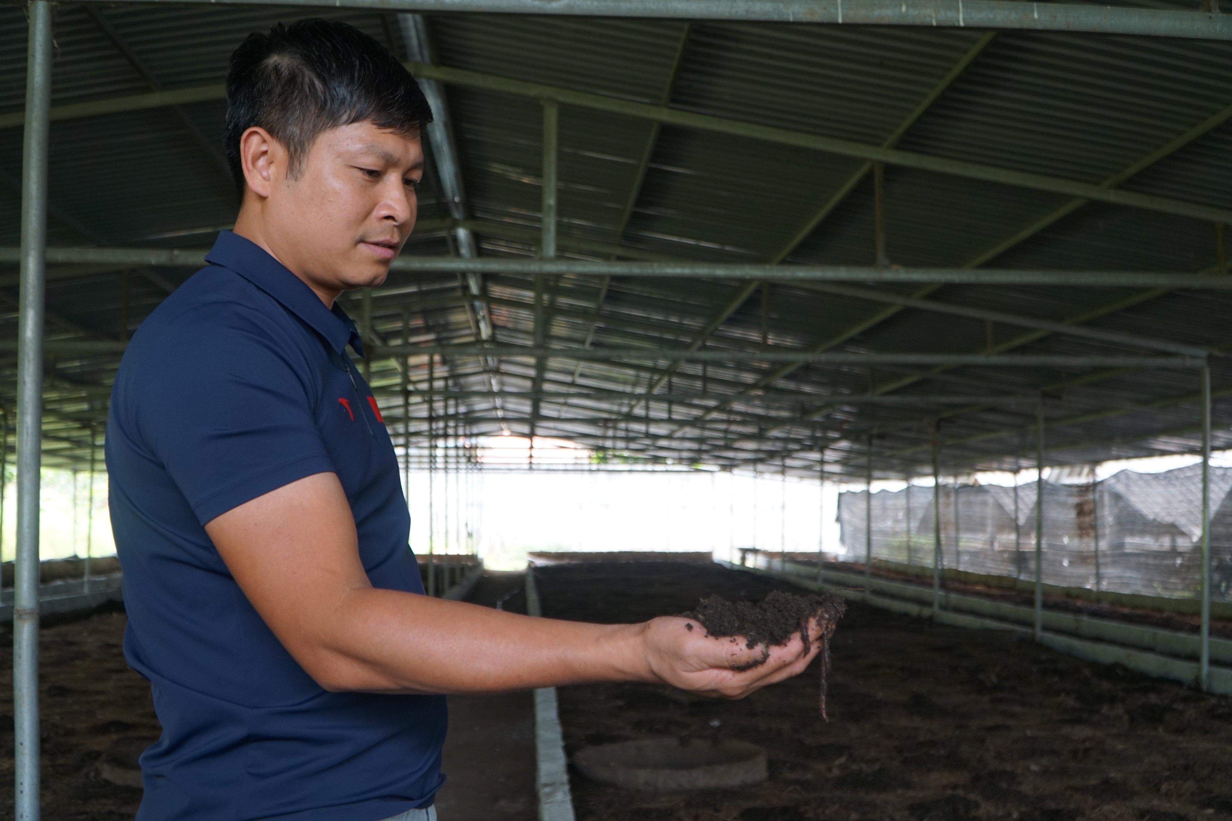 To achieve the success he has today, Mr. Pham Van Tinh has traveled to many places to learn experiences and search for markets. Photo: Quach Du