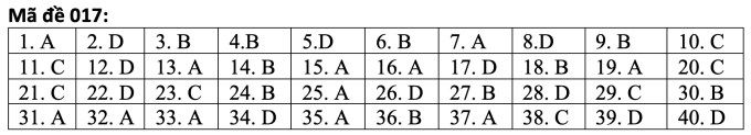 Respuestas del examen de inglés de décimo grado en Hanoi - 5