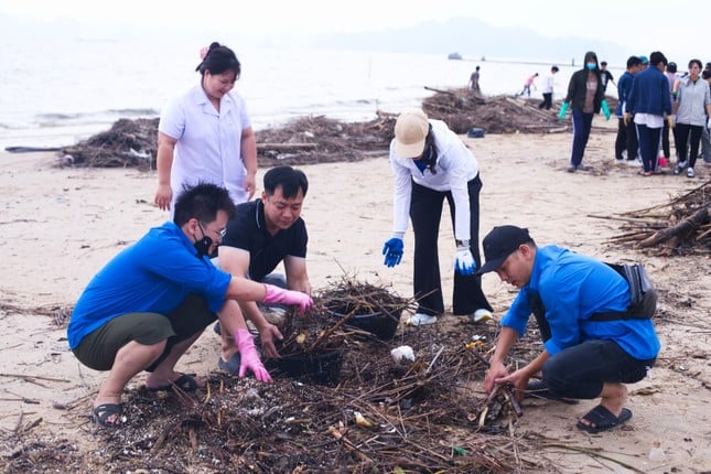 Zehntausende Jugendliche aus Ha Long schließen sich zusammen, um die Umwelt zu säubern. Foto 6