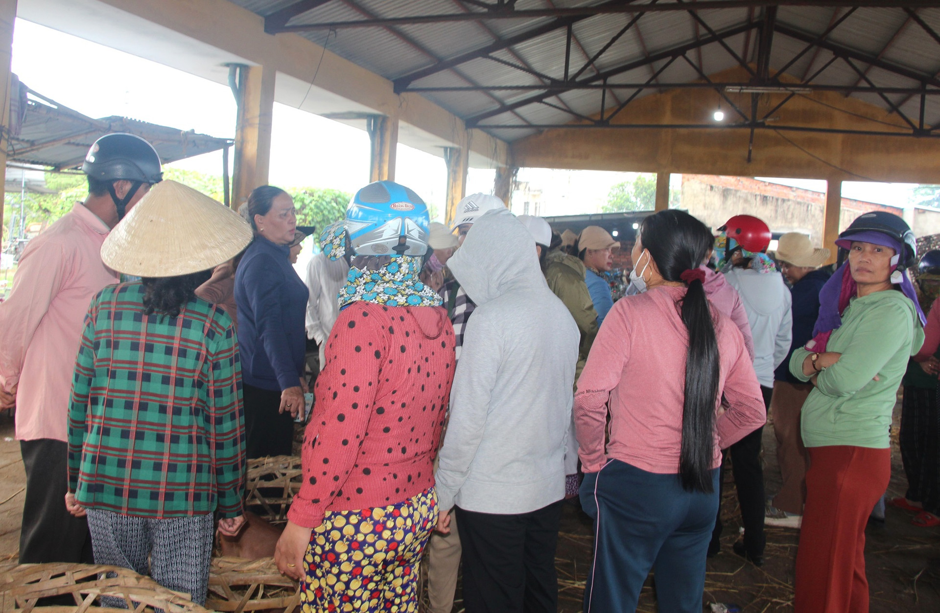 Một ngôi chợ đặc biệt ở Quảng Nam, bán heo theo kiểu rất lạ đời chẳng giống ở đâu, đó là bồng heo để bán- Ảnh 5.
