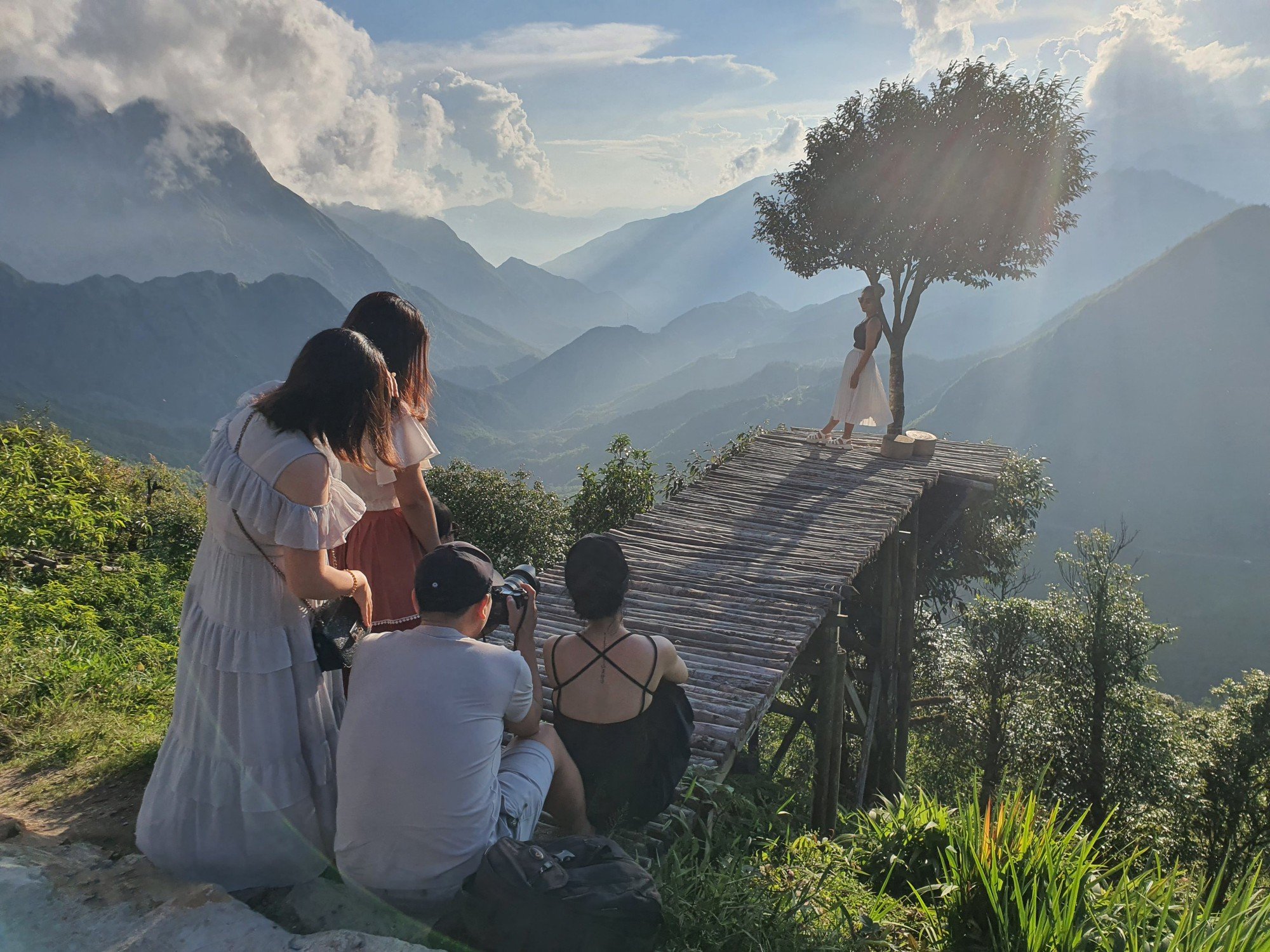Giải mã sức hút cây cô đơn ở Sapa - Ảnh 2.