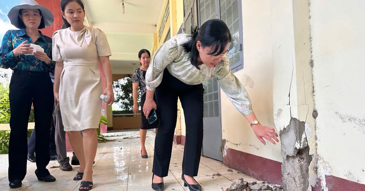 El caso de la escuela abandonada de 13 mil millones de Dong Nai: se pide que las organizaciones y los individuos asuman la responsabilidad