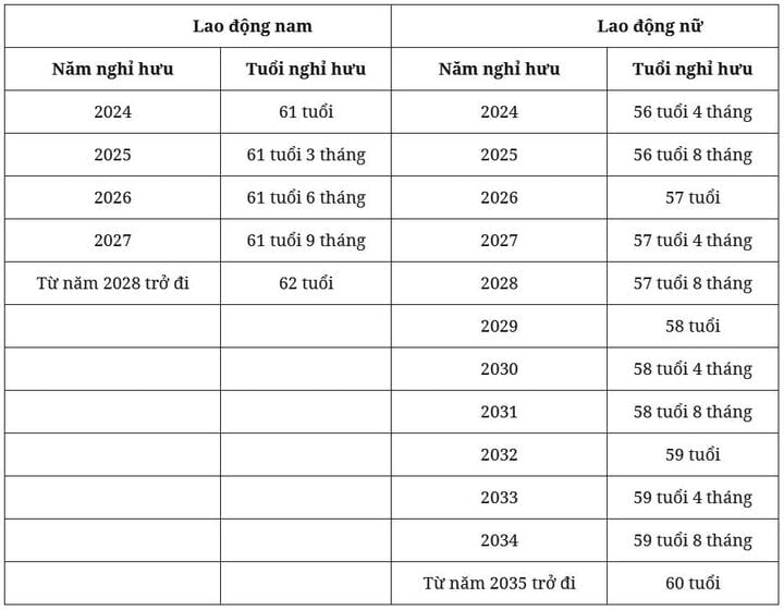 2024년 근로자의 정년 - 1