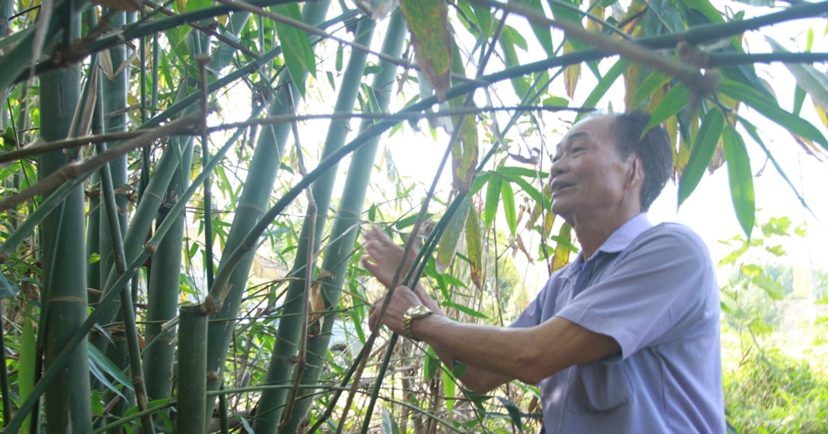 Những người 'giữ lửa' ở bản làng