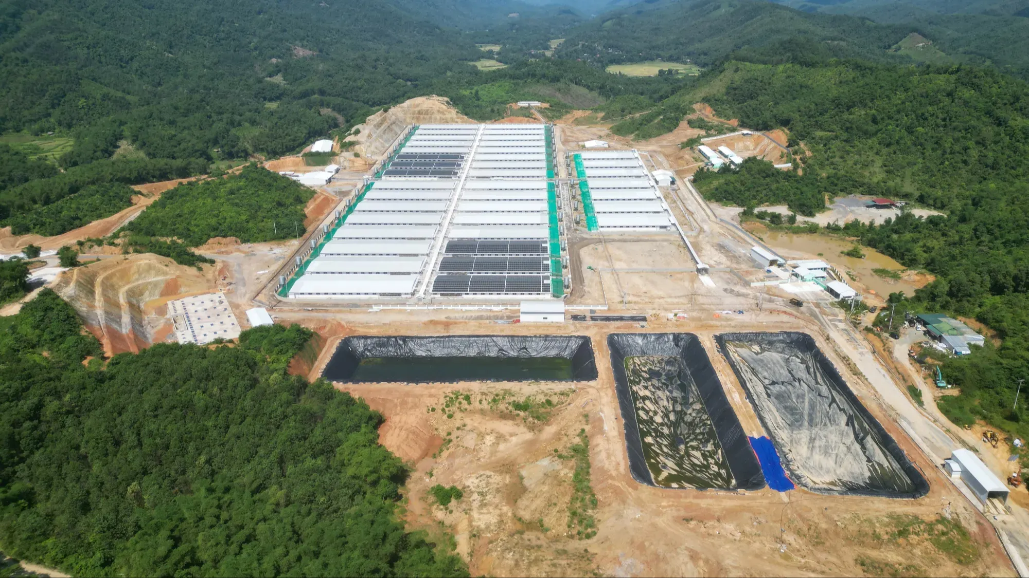 Trại lợn mới nuôi thử nghiệm đã gây ô nhiễm môi trường - Ảnh 1.