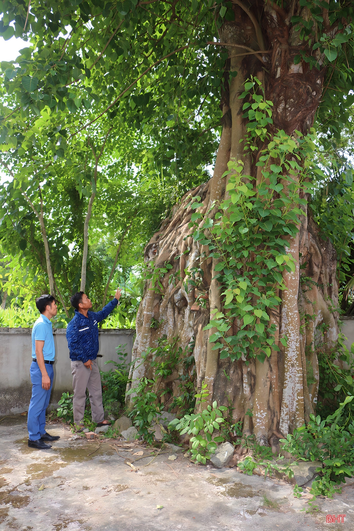 วัดแห่งนี้มีประวัติยาวนานกว่า 300 ปี ในเมืองห่าติ๋ญ