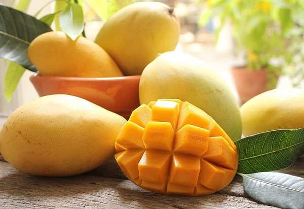 Mangue des sables de Hoa Loc - célèbre spécialité de Tien Giang