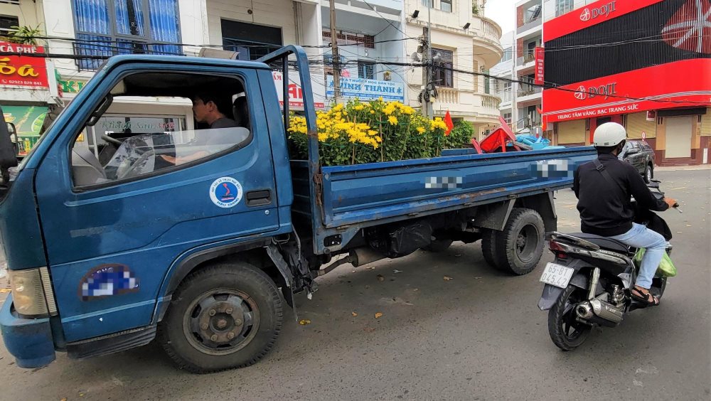 Những chậu hoa cuối cùng được chở đi. Ảnh: Mỹ Ly.