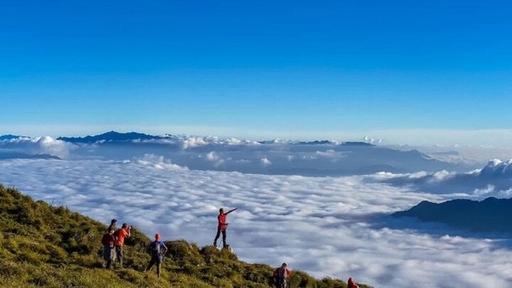 Pico Lung Cung.