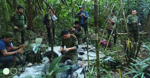 飛行機墜落から1か月後、森の中で4人の赤ちゃんが発見される