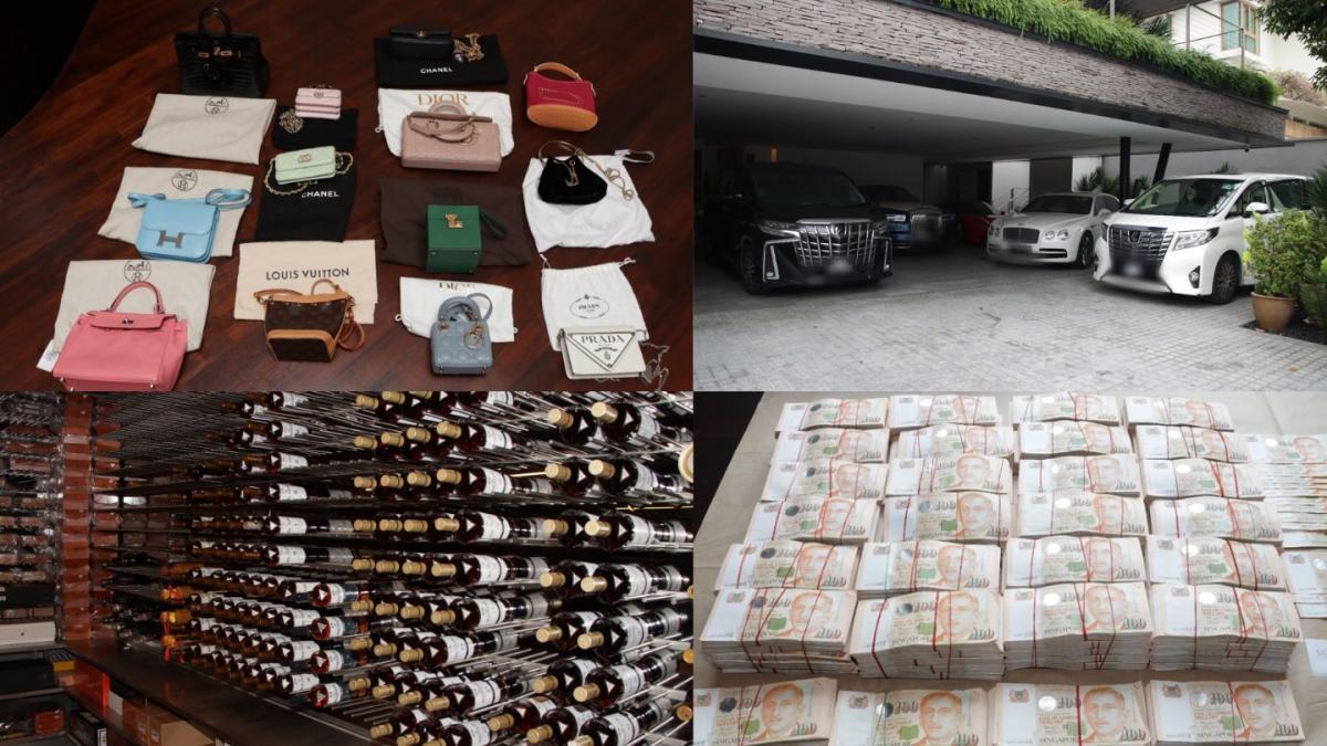 money laundering line in australia and the tortoise shells picture 2