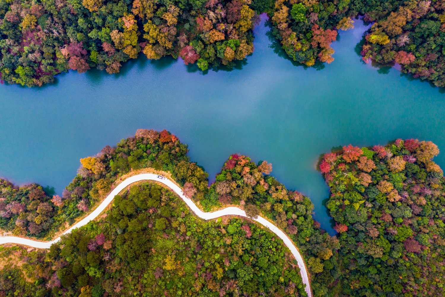 Octubre: la estación más hermosa del año en Cao Bang