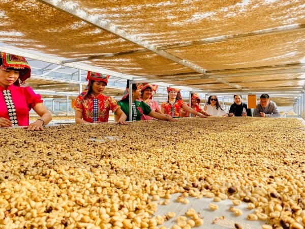 Création de marques pour les produits des minorités ethniques et des zones montagneuses