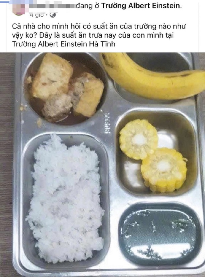 The image of the lunch for elementary students at Albert Einstein school looks like 