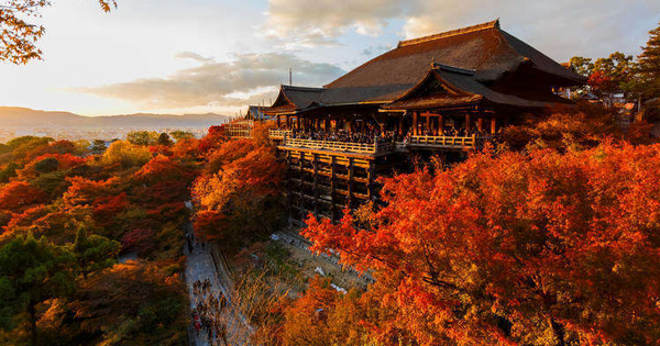 Sorprendido por el hermoso paisaje natural del otoño en Japón