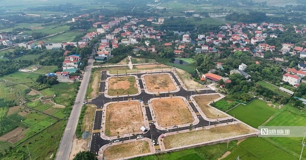 Aperçu de 39 parcelles de terrain récemment vendues aux enchères dans le district de Phuc Tho