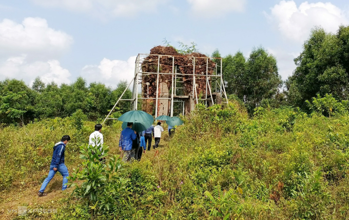 The remaining Dong Duong Buddhist temple, the Sang Tower, is supported by iron pillars to avoid the risk of collapse. Photo: Dac Thanh.