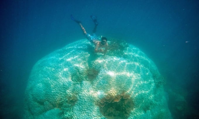 コンダオ島の巨大なサンゴの柱。写真: ンゴ・トラン・ハイアン