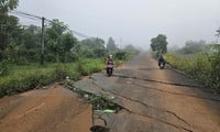 Abandoned billion-dollar road causes waste in the golden flower city