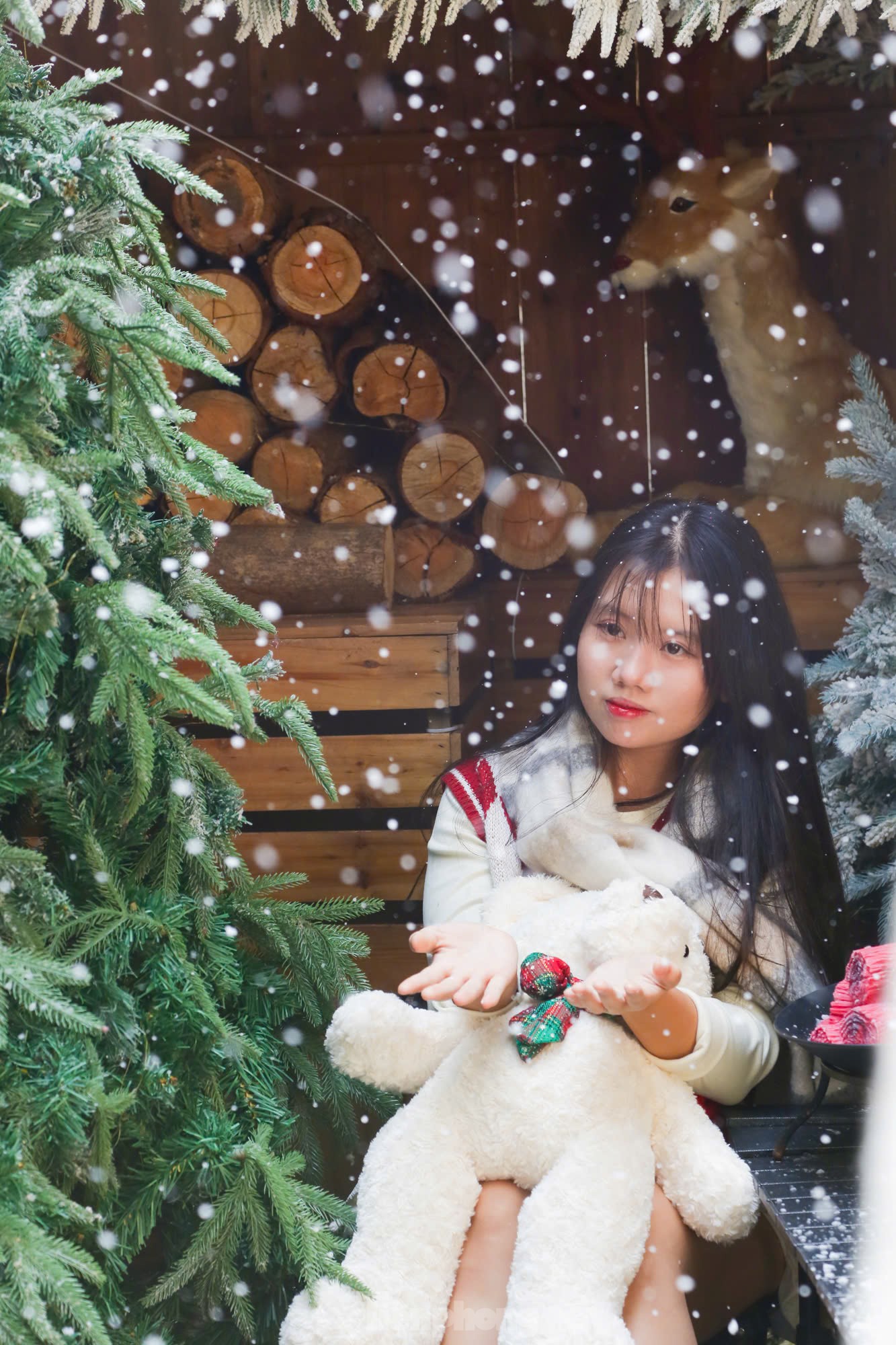 Winter muses watch the snow fall in a coffee shop in the heart of Hanoi photo 1