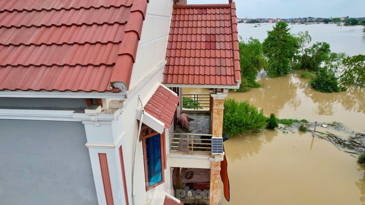 L'eau a inondé le toit, tout le village s'est transformé en une « oasis » photo 10