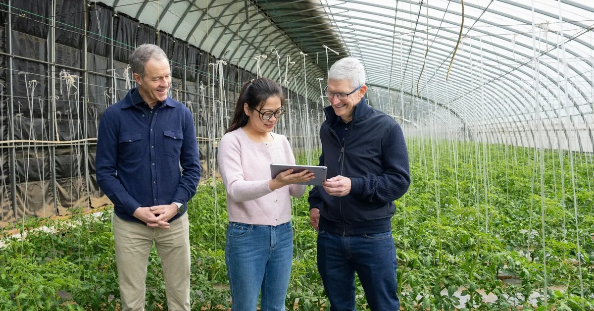 Tim Cook: Apple verpflichtet sich zu erhöhten Investitionen in China